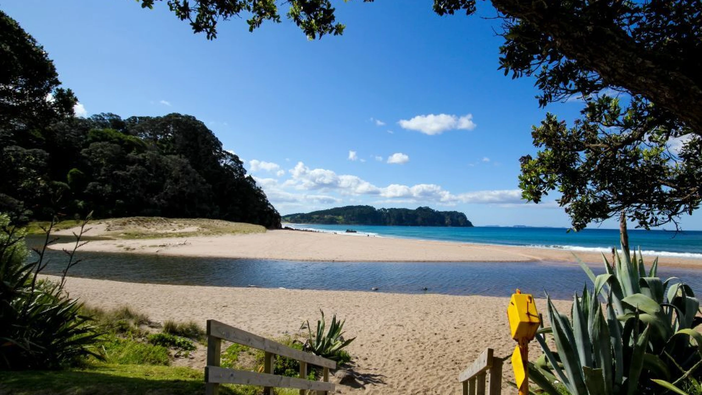 Coromandel heetwaterstrand, Nieuw-Zeeland