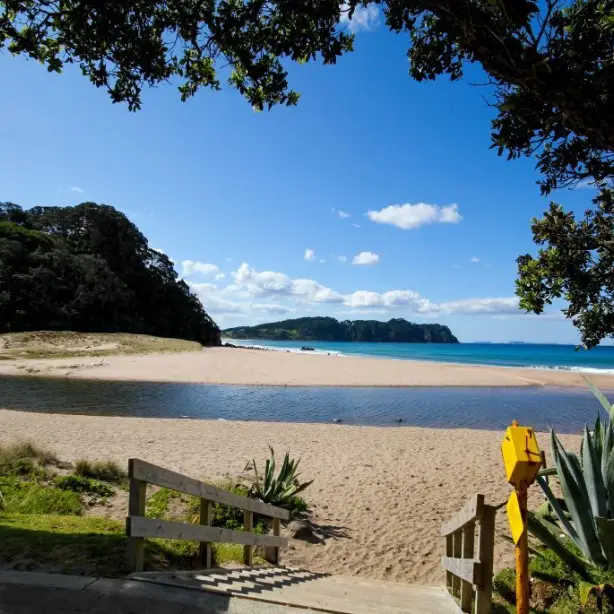 Coromandel heetwaterstrand, Nieuw-Zeeland