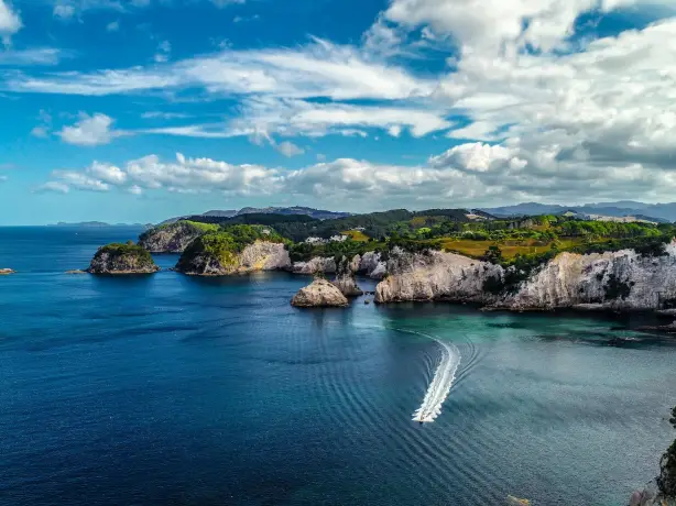 The rugged Coromandel Coastline with grey cliffs, blue waters and green fields