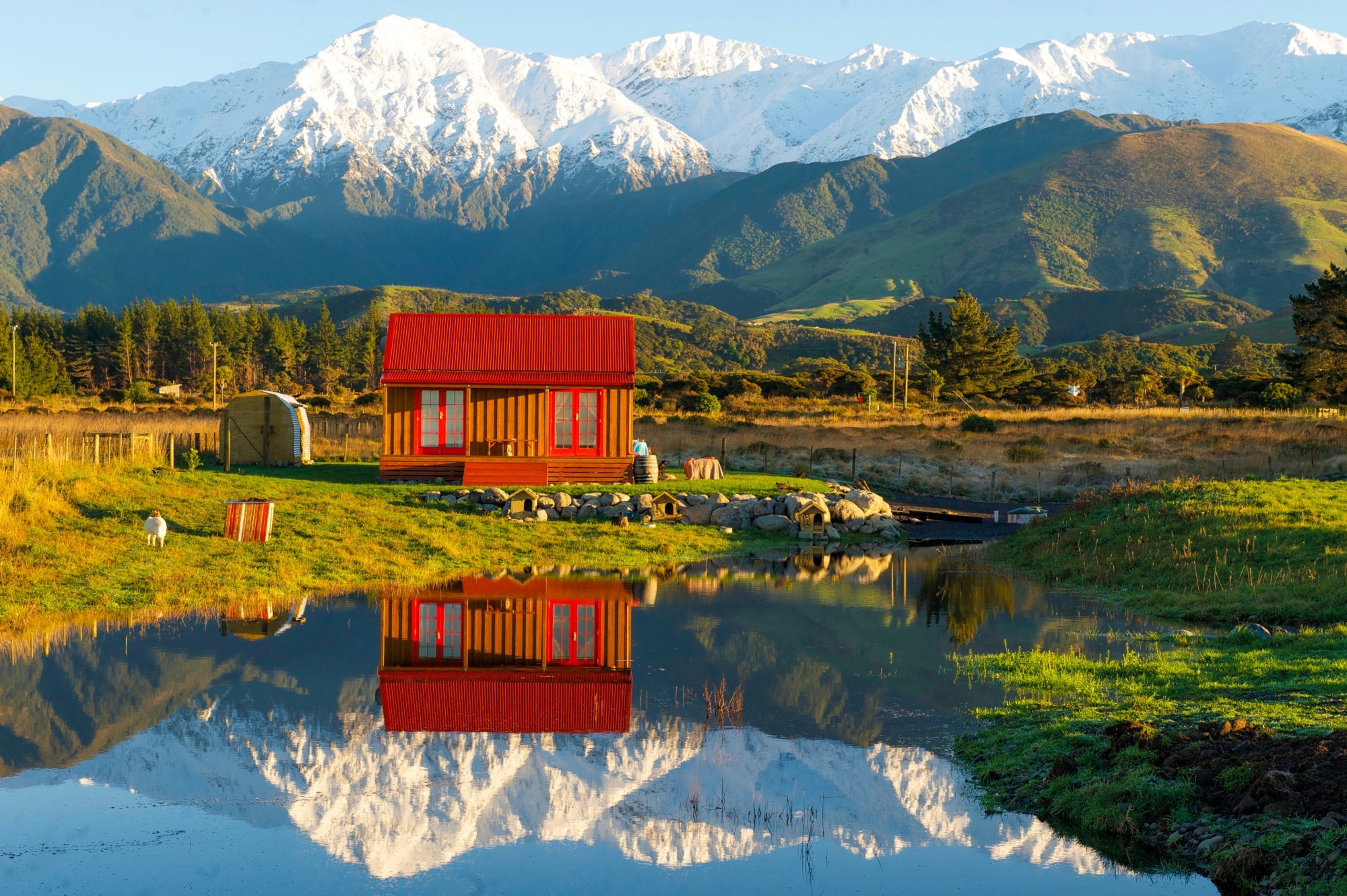 Charmantes Holzcottage mit rotem Dach, das sich in einem ruhigen Teich bei Kaikoura, Neuseeland, spiegelt, mit schneebedeckten Berggipfeln und grünen Hügeln im Hintergrund im goldenen Abendlicht