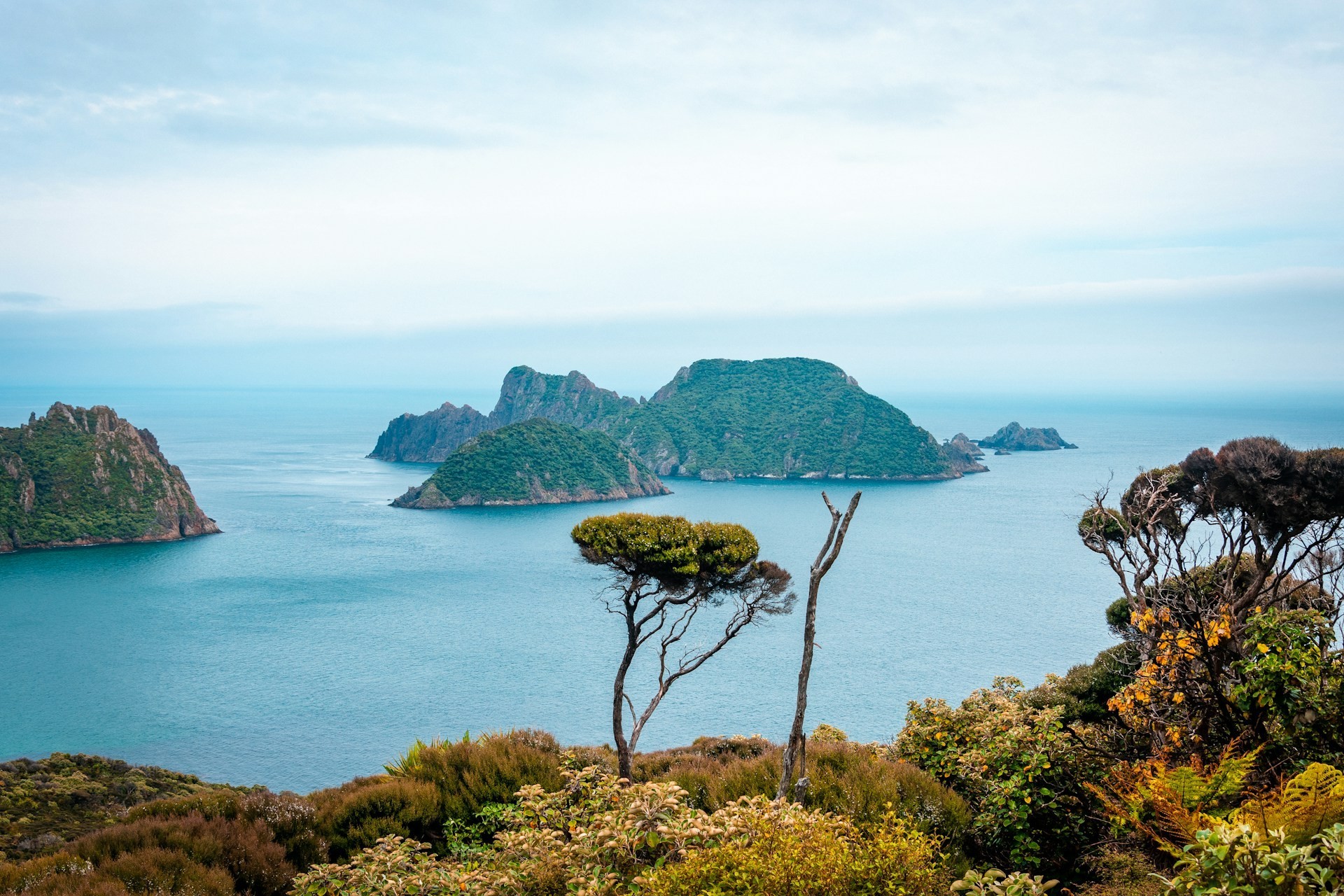 Blick auf Inseln des Rakiura Nationalparks in Neuseeland