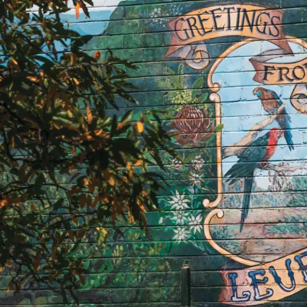 Wandgemälde mit Papageien von der Stadt leura in Australien