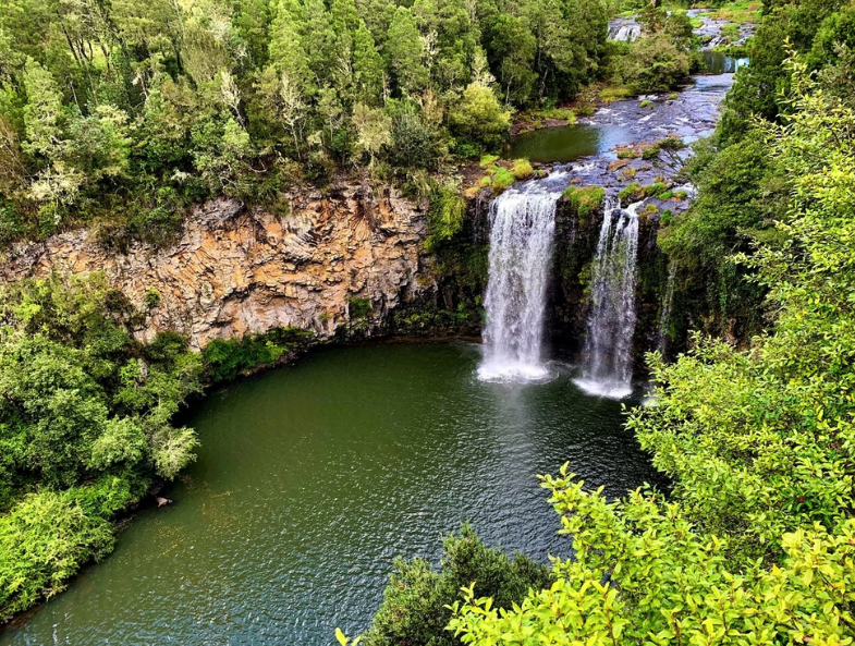 Australien New South Wales Coffs Harbour Dorrigo Nationalpark