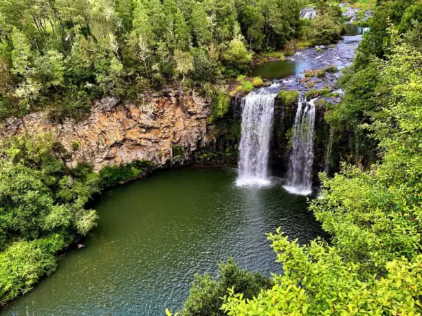 Australien New South Wales Coffs Harbour Dorrigo Nationalpark