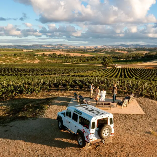 Menschen, die in einem Weinberg im Barossa Valley in Australien im Stehen etwas trinken.