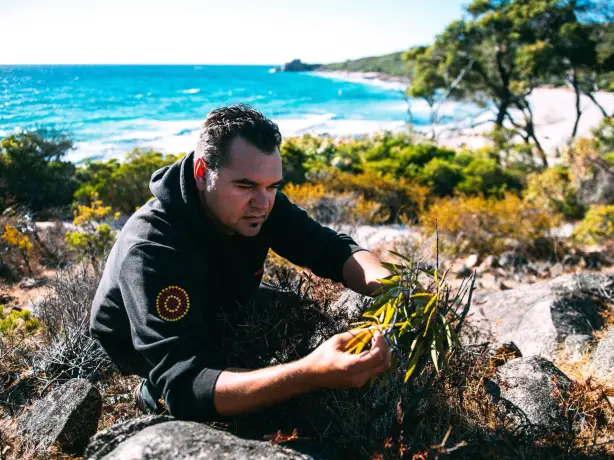 Indigener Guide betrachtet Pflanzen an Küste in Australien