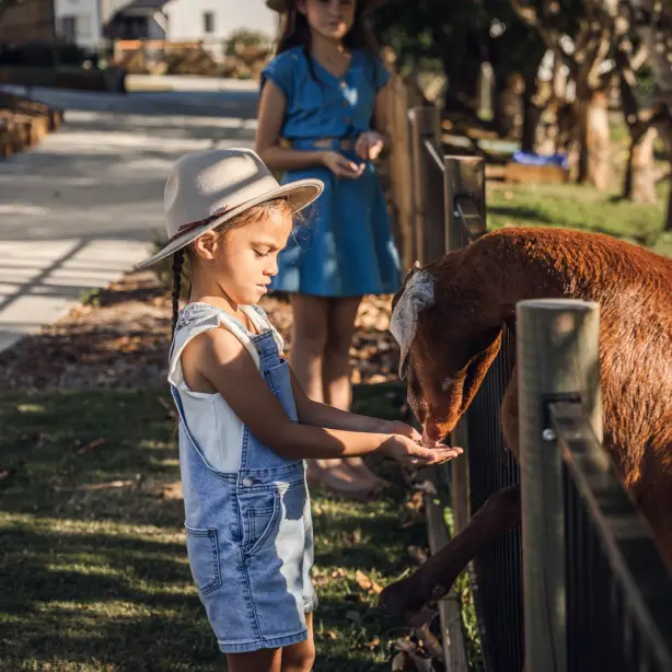 Young girl in a sun hat feeding a goat by hand through a fence at an Australian farmstay, with another child watching in the background on a sunny day