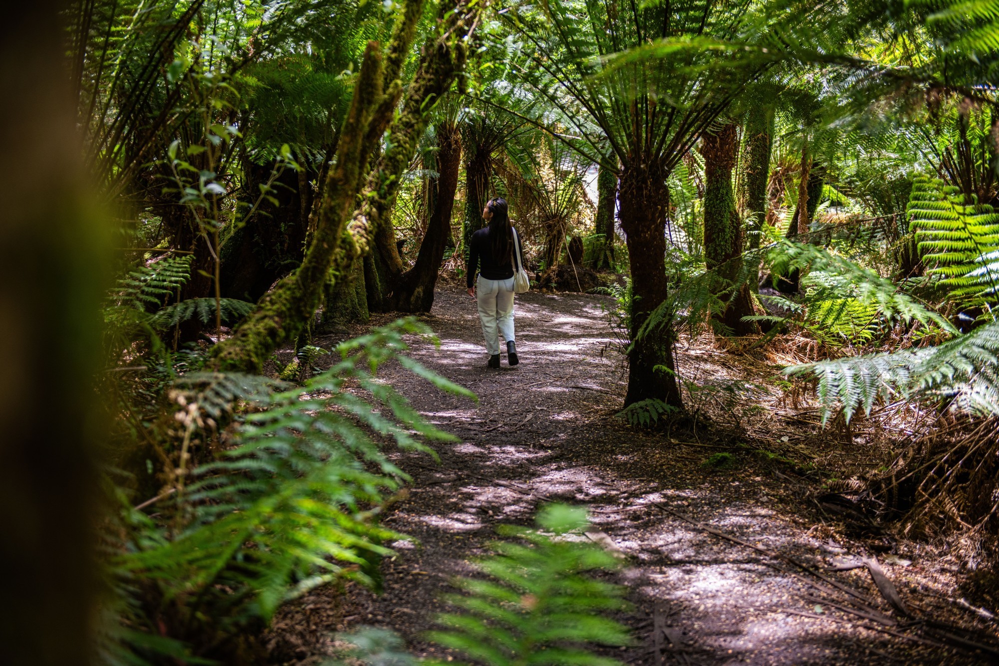 Frau läuft durch Farn-Wald in Australien