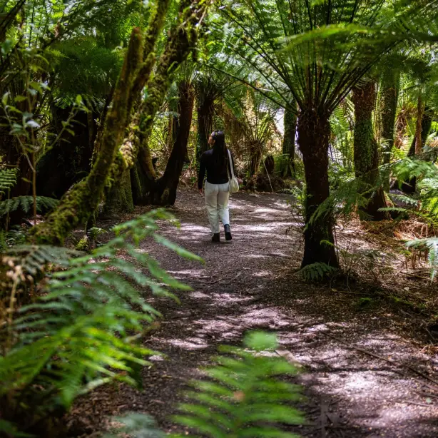Frau läuft durch Farn-Wald in Australien