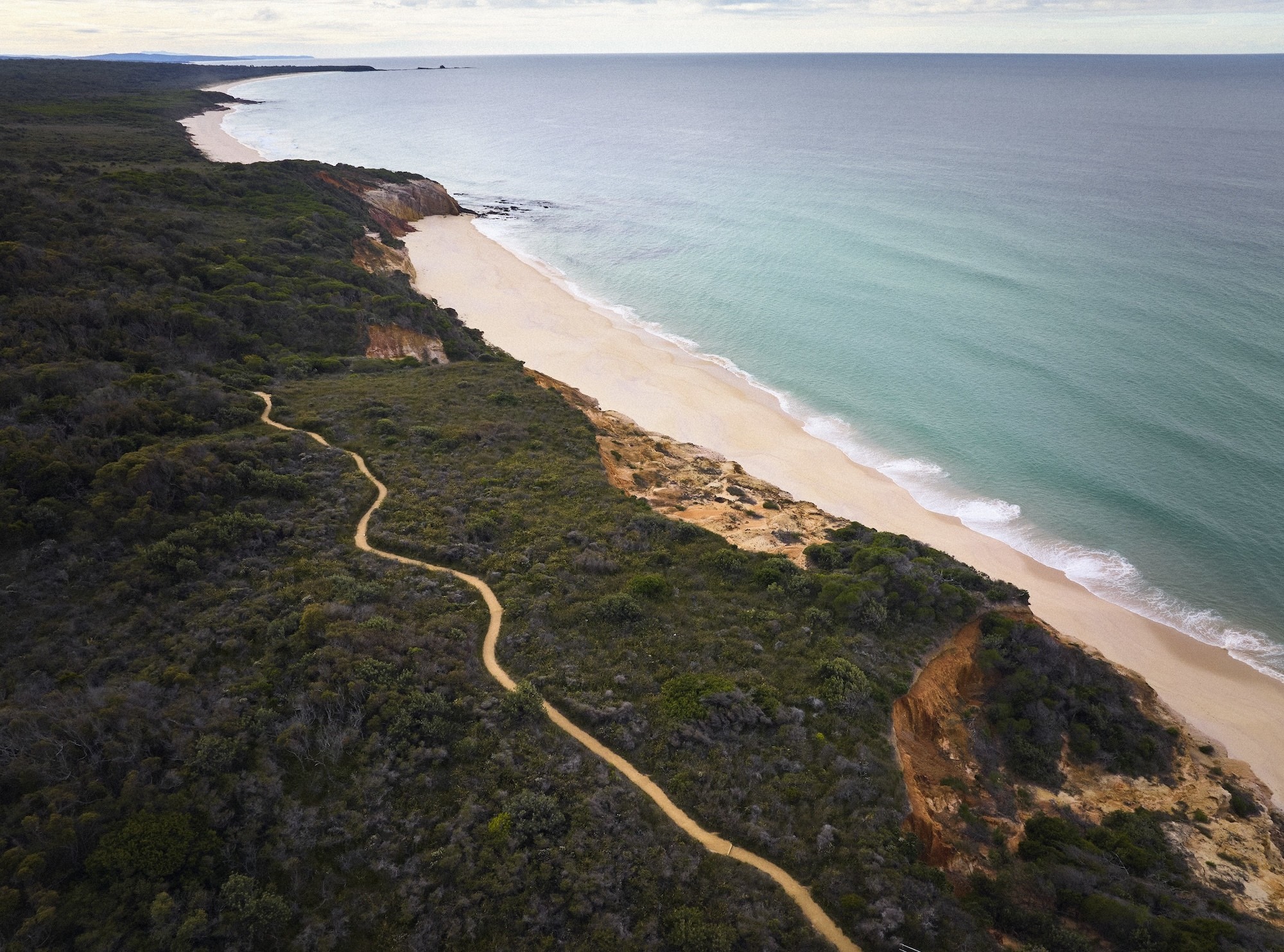 Australia nsw eden pinnacles loop walking track Credit Destination NSW