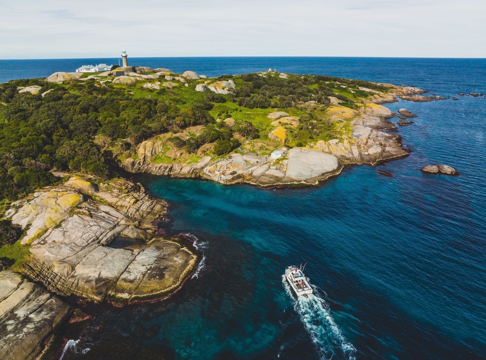 Australien New South Wales Montague Island