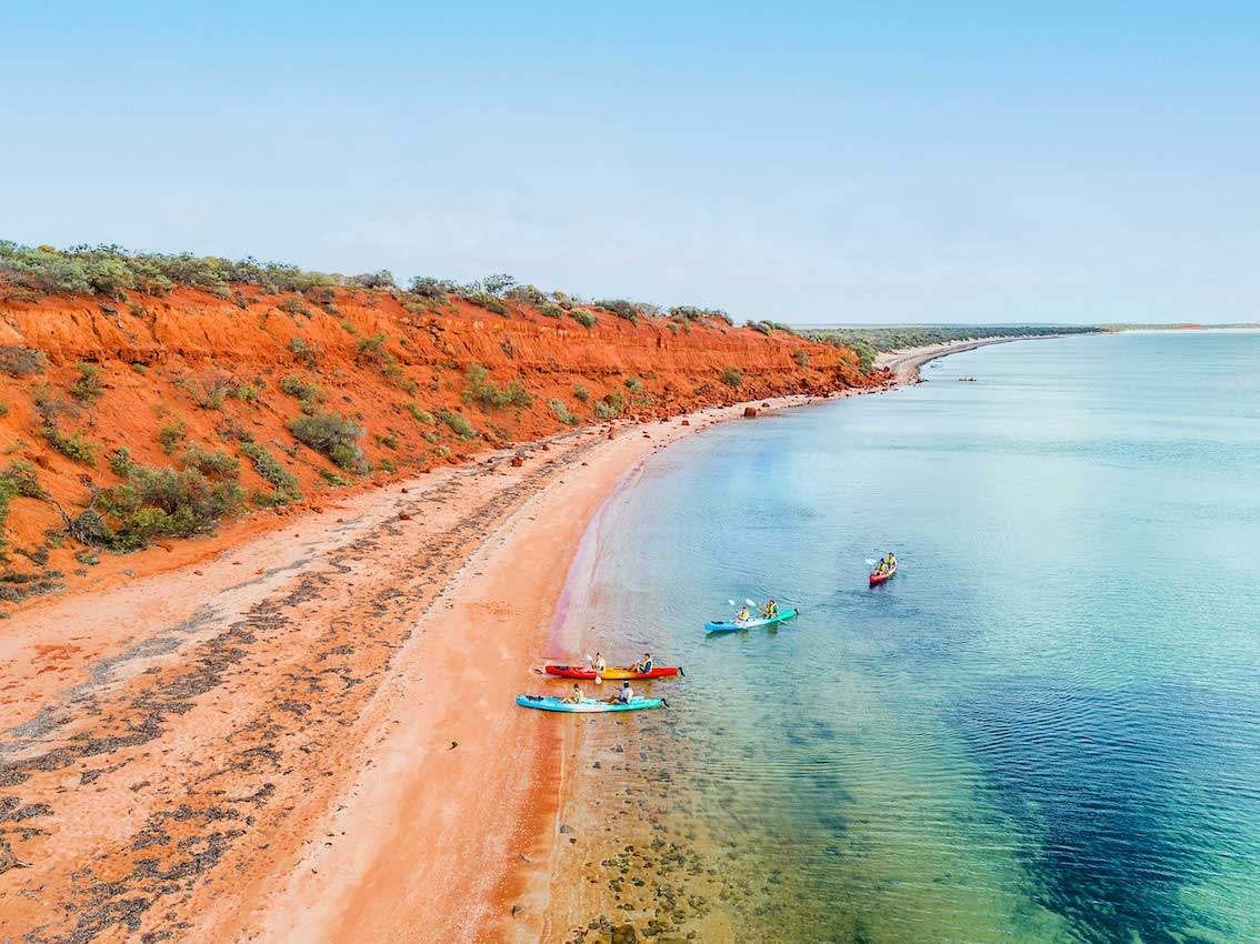 Kayakers paddle up the an orange beach in Francois Peron National Park in Western Australia