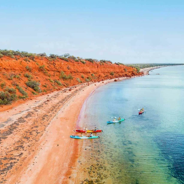 Kayakers paddle up the an orange beach in Francois Peron National Park in Western Australia