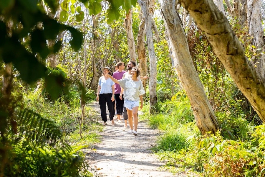 Ein einheimischer Führer nimmt eine Gruppe mit auf eine Tour durch einen Wald in Brisbane, Australien