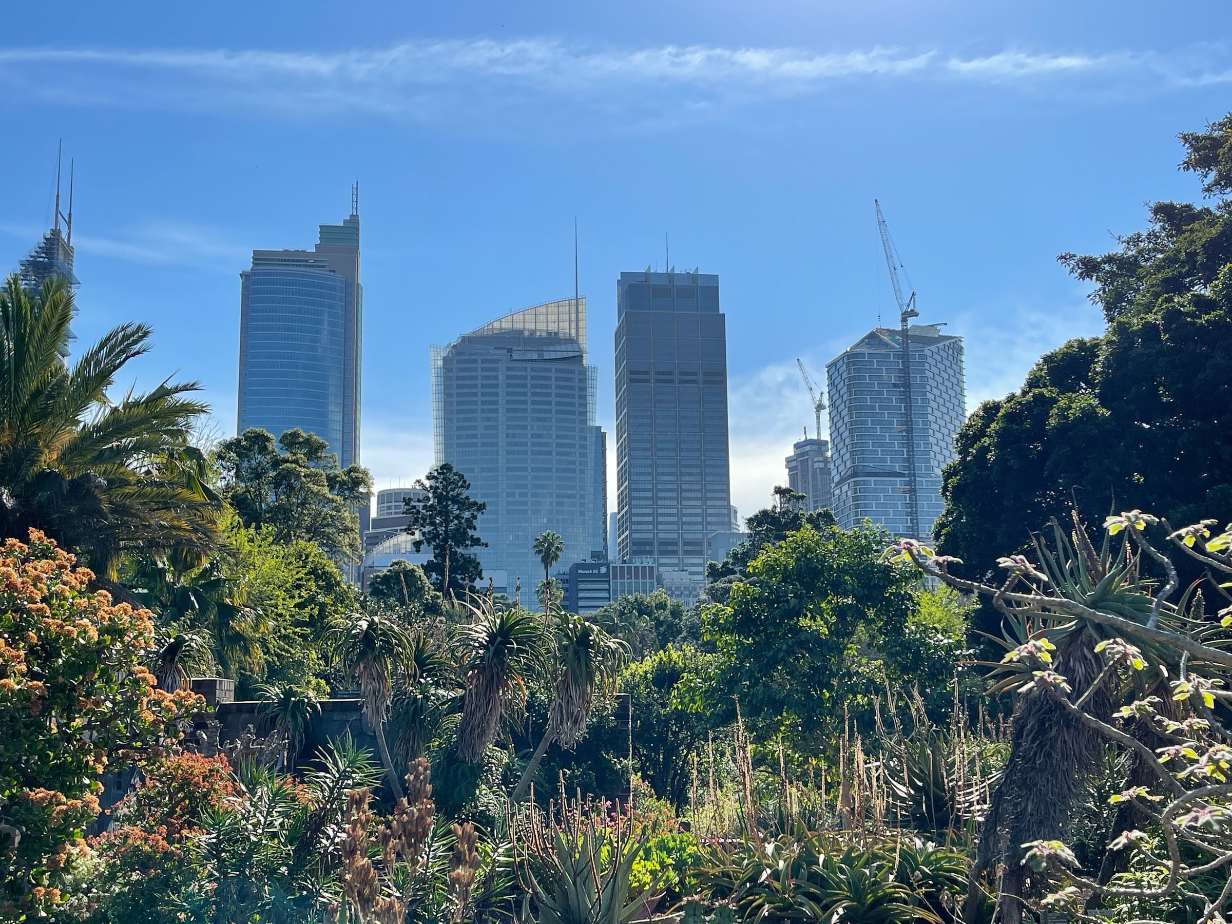 Australien New South Wales Sydney Royal Botanic Gardens