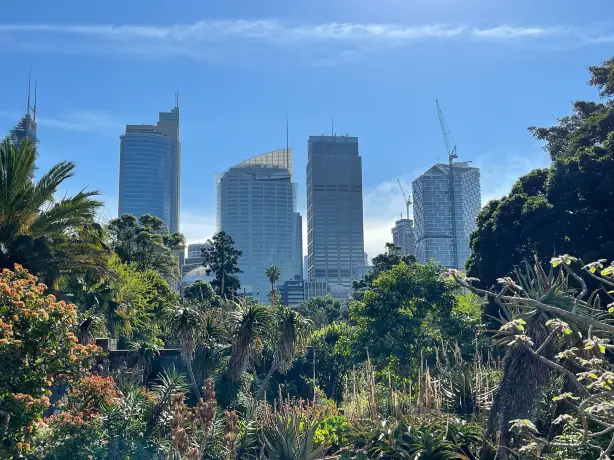 Australien New South Wales Sydney Royal Botanic Gardens