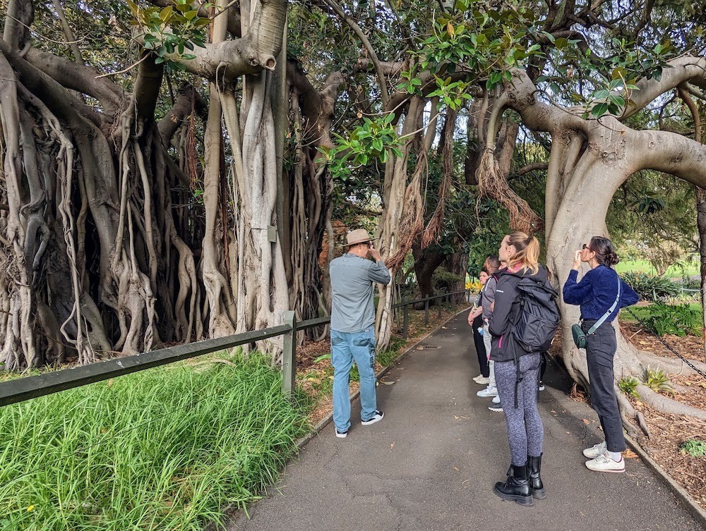 Aus nsw sydney royal botanical gardens12