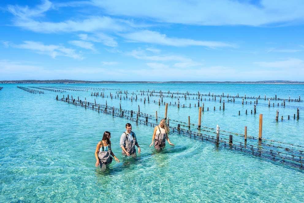 three people walking in the water of coffinbay, Australia