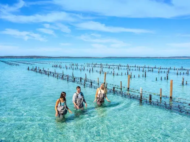three people walking in the water of coffinbay, Australia