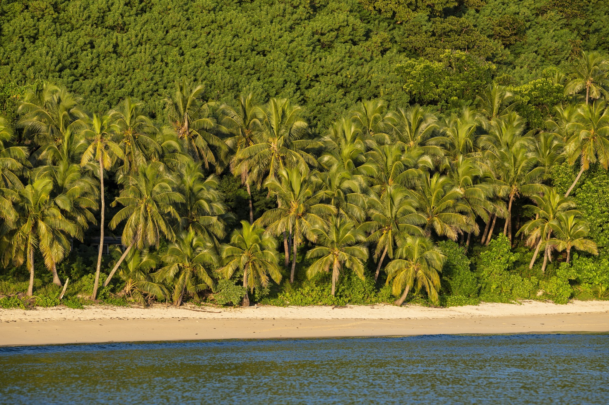 Strand auf Fidschi