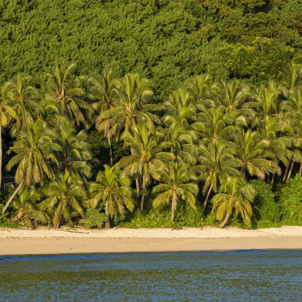 Strand auf Fidschi
