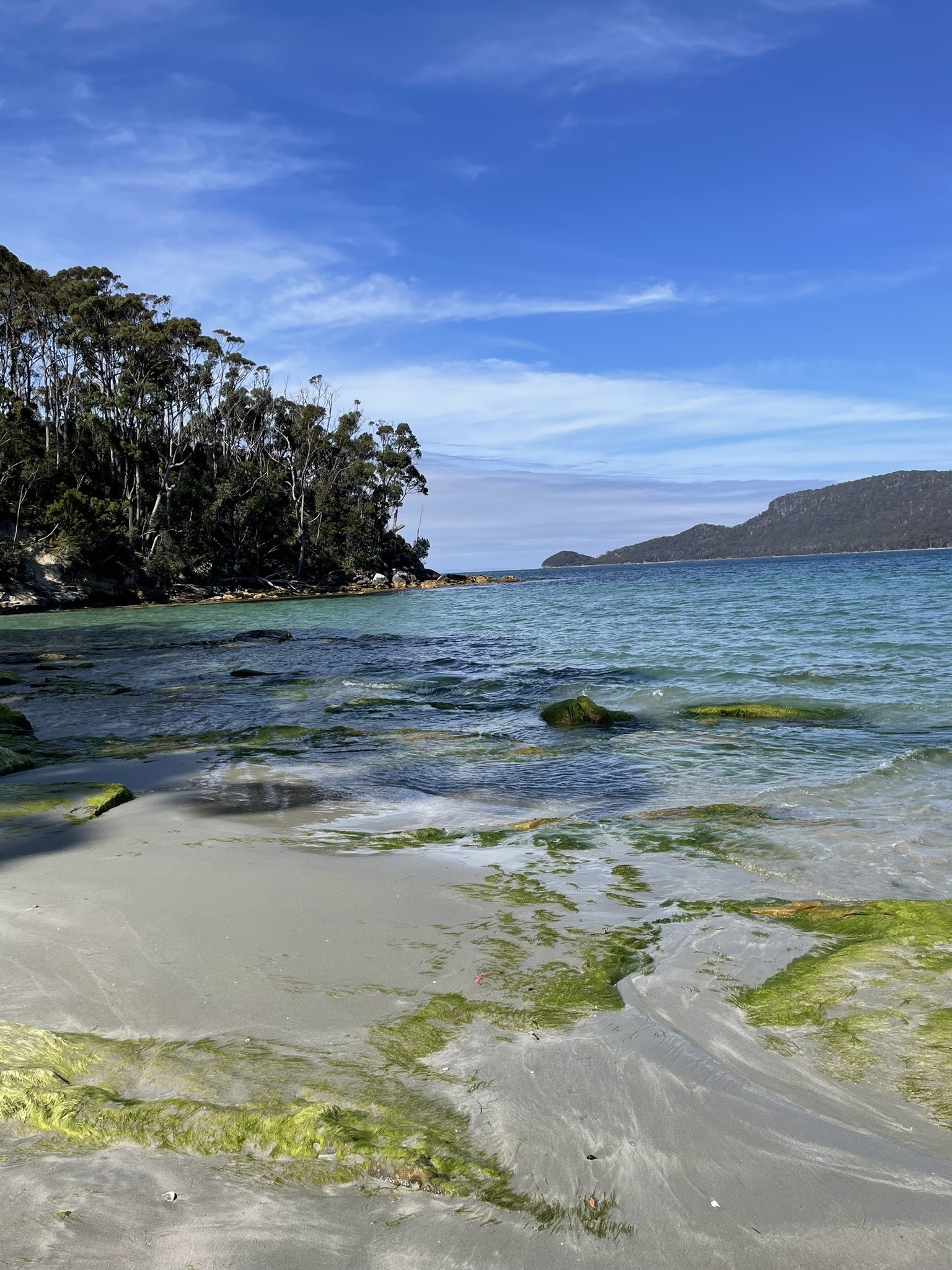 Kundenrezension Knessi Bruny Island
