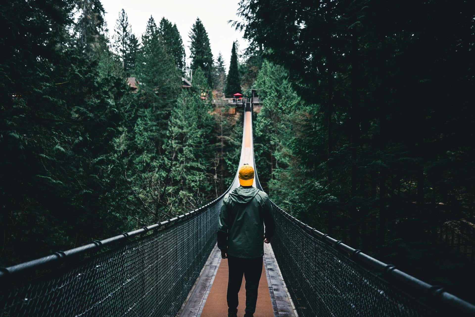 Can vancouver capilano suspension bridge
