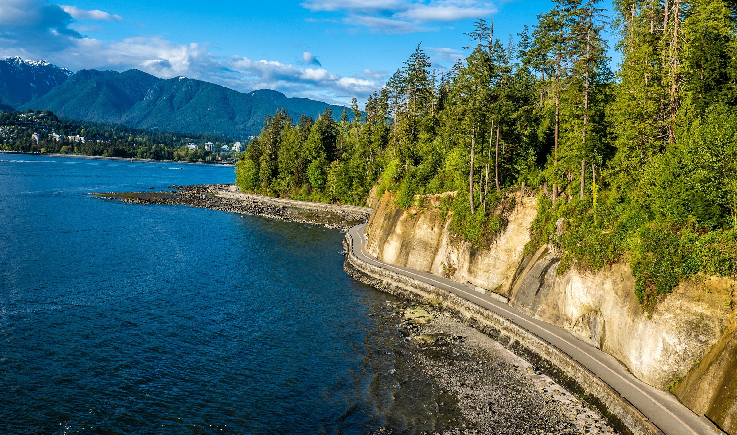 Can vancouver stanley park view