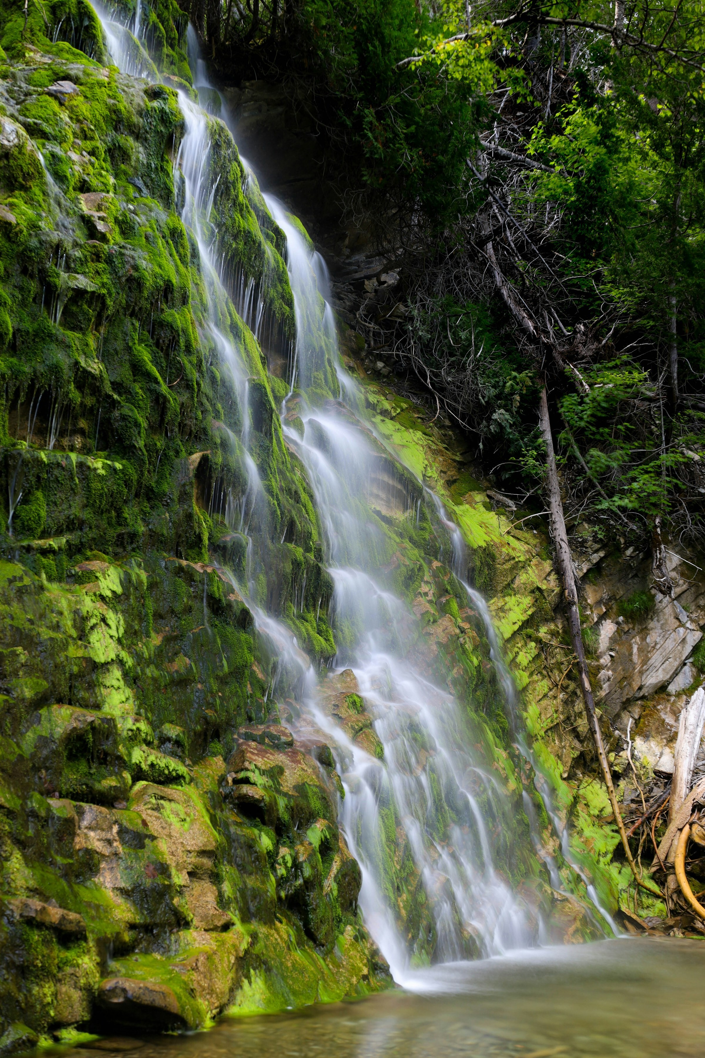 Can forillon national park waterfall