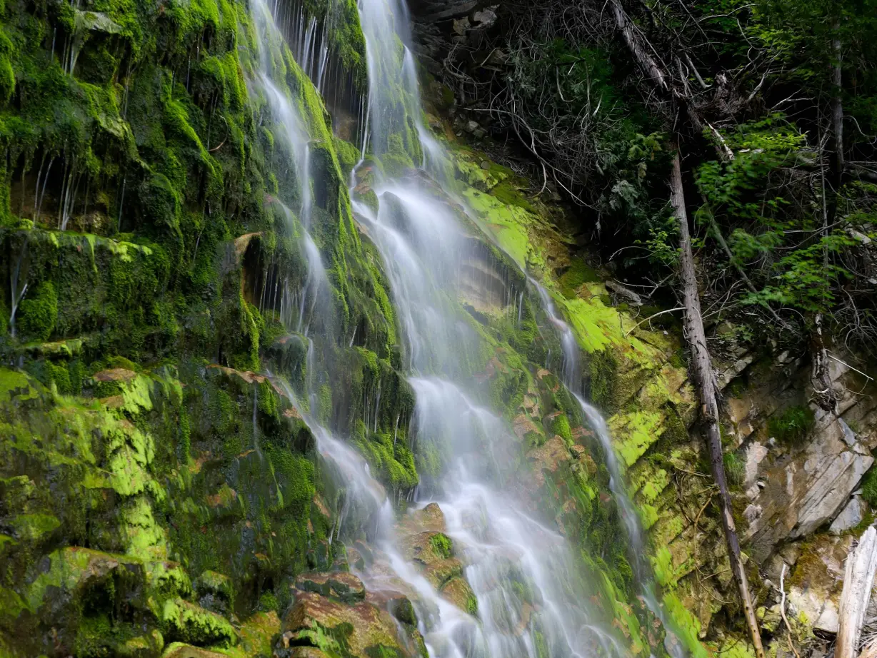 Can forillon national park waterfall