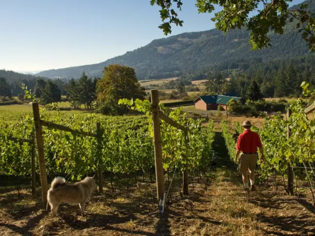 Can gulf islands winery