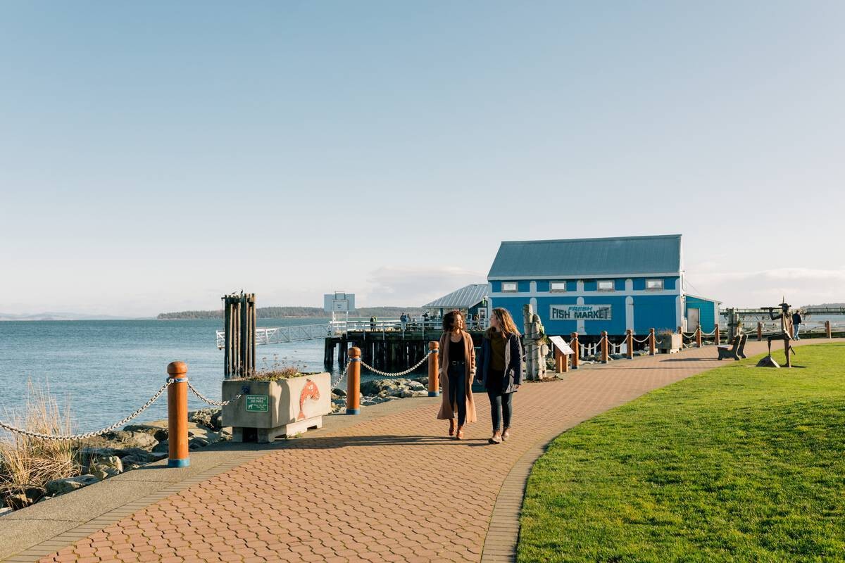 Can sidney harbour