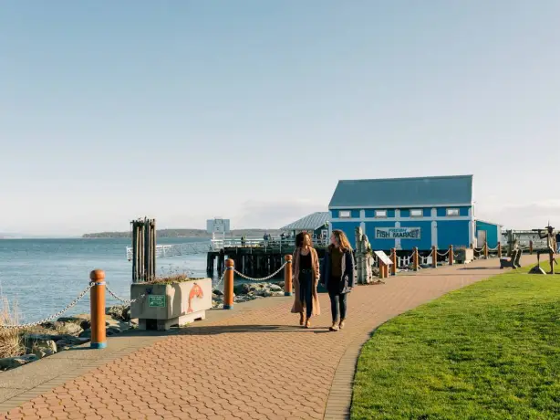 Can sidney harbour