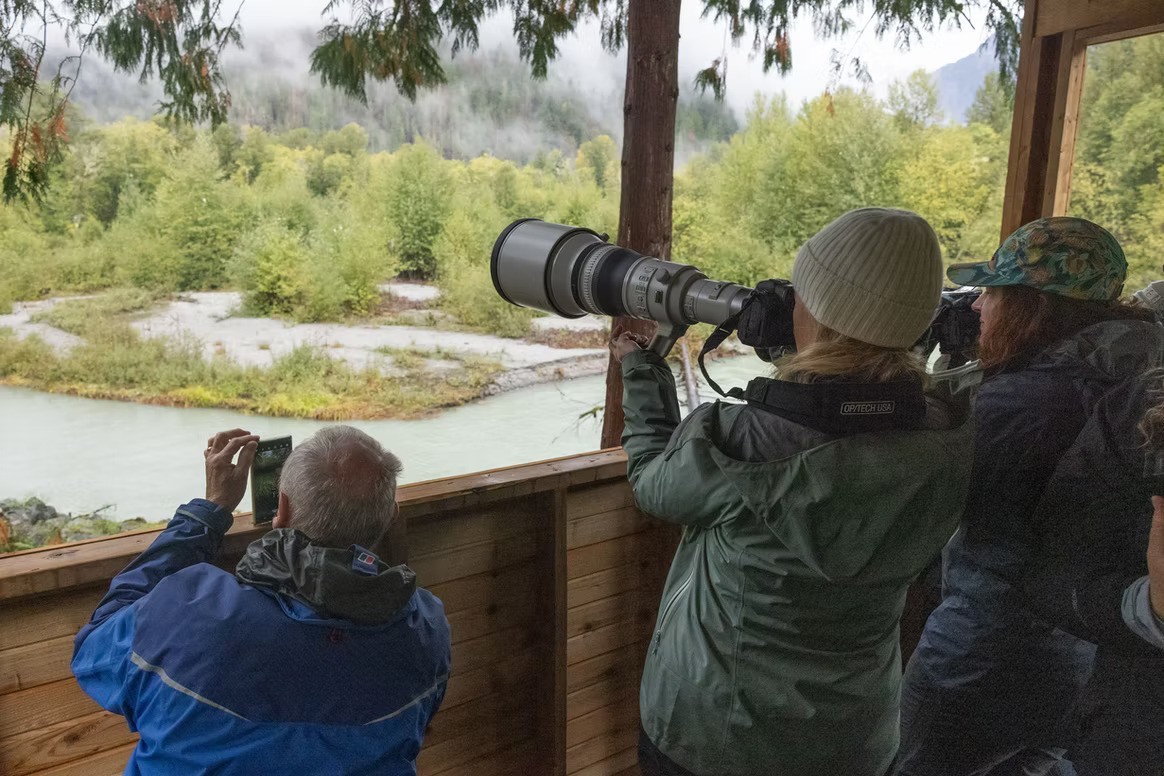 A group of photographers take photos of wildlife from a wooden viewing platform in Toba Inlet, Vancouver Island