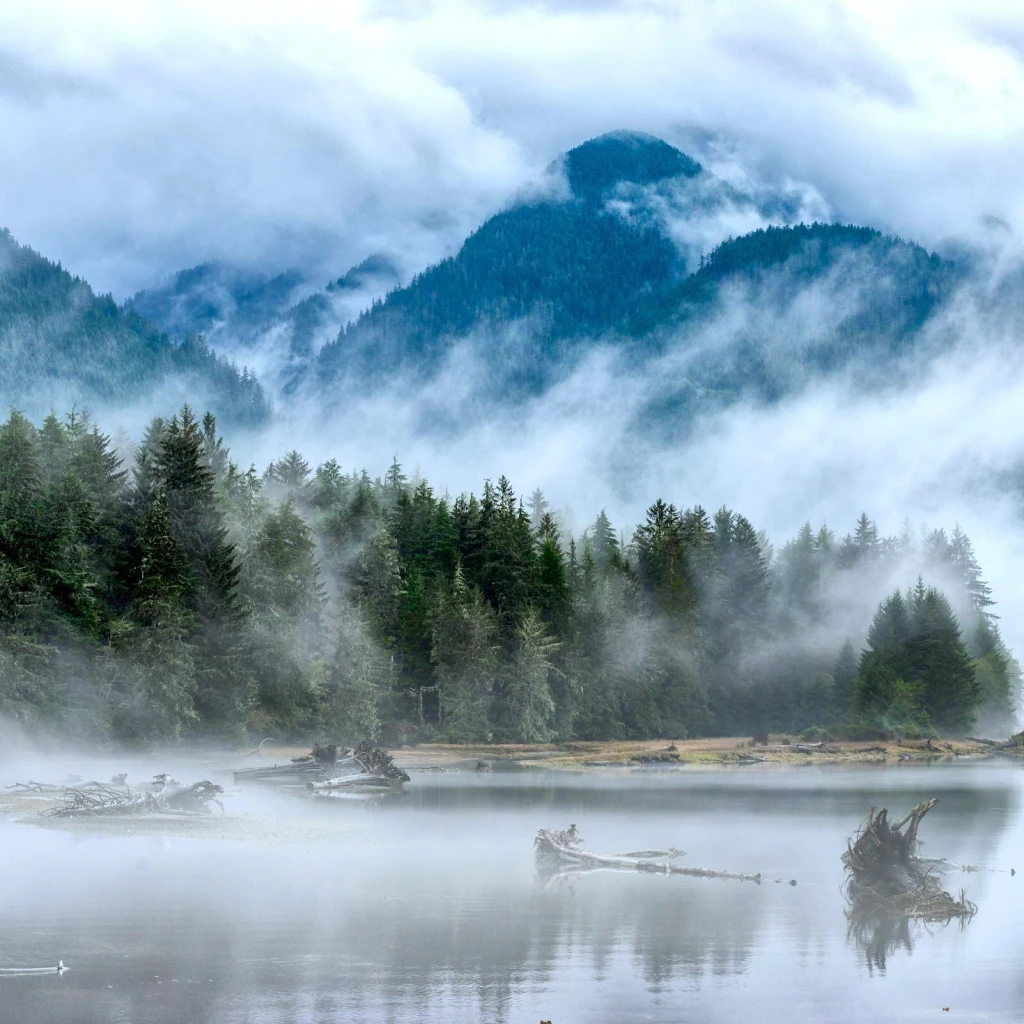 Nebel, der durch die immergrünen Wälder und Berge um Port Renfrew an der Küste von British Columbia, Kanada, zieht, wobei sich das stille Wasser in der Landschaft spiegelt.