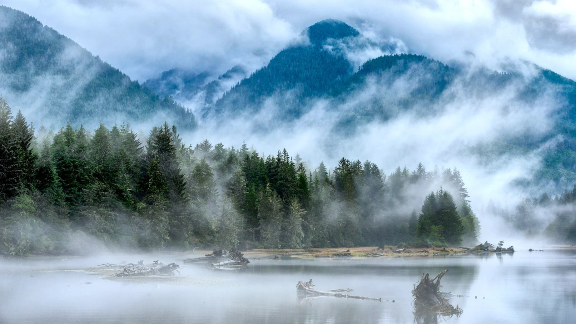 Nebel, der durch die immergrünen Wälder und Berge um Port Renfrew an der Küste von British Columbia, Kanada, zieht, wobei sich das stille Wasser in der Landschaft spiegelt.