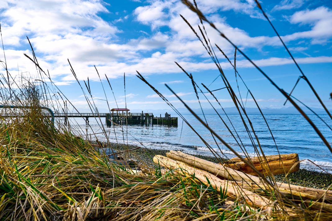 Davis bay2