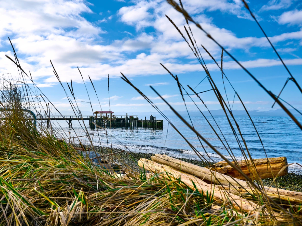 Davis bay2