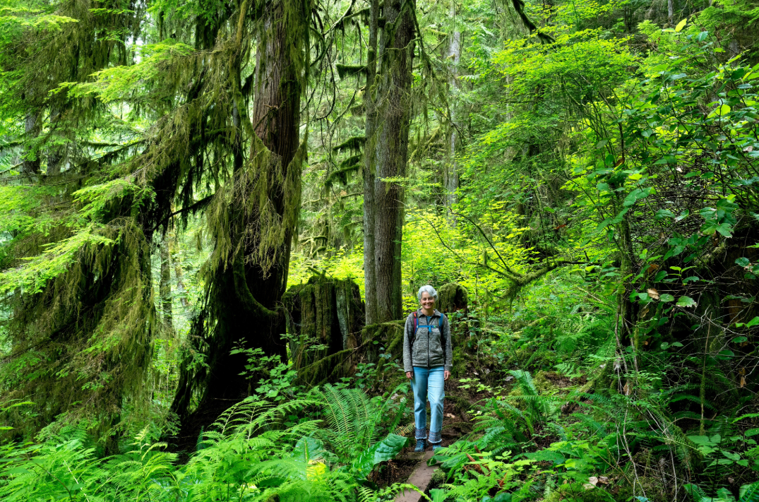 Roberts creek2