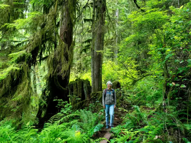 Roberts creek2