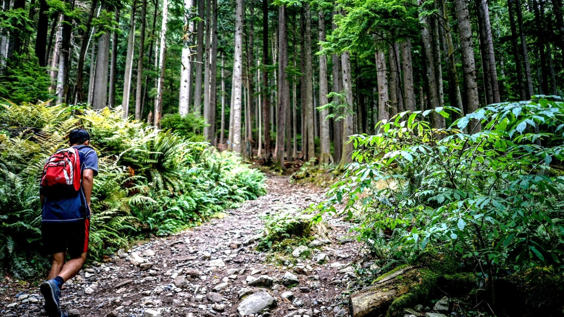 Kanada Vancouver Grouse Mountain