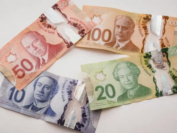 Mehrere Werte von kanadischen Dollarscheinen