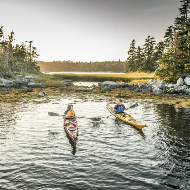 A couple in single kayaks smiling at each other, out on the water with trees around and behind in Canada