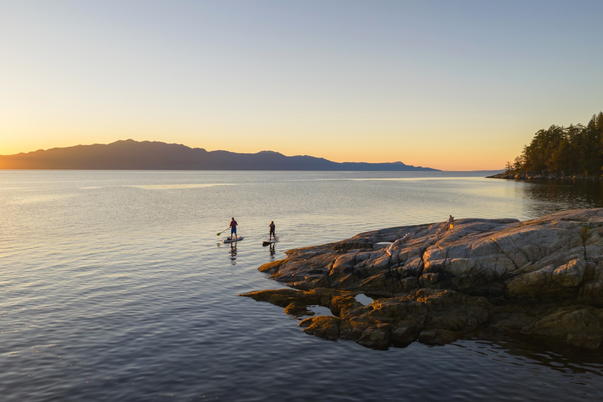 Two people stand-up paddle boarding, Sunshine Coast