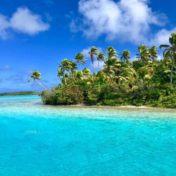 Turquoise water en een kustlijn met palmbomen
