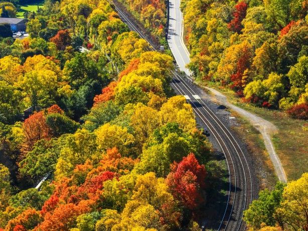 Dundas peak side trail ontario denley photography z AZKT Hd4bdo unsplash