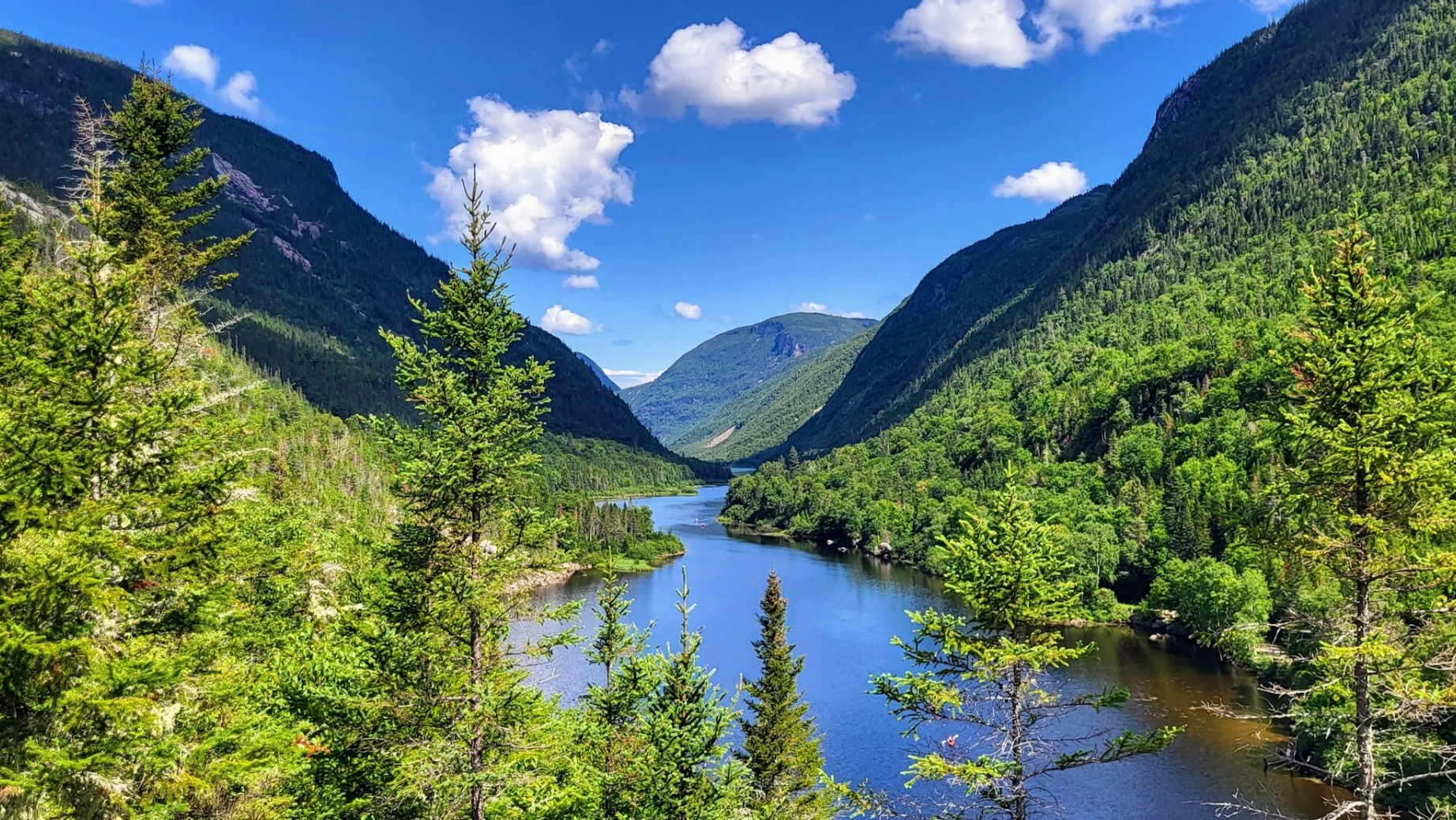 Flusstal in Kanada mit Nadelbäumen im Vordergrund