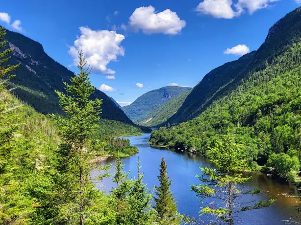 Flusstal in Kanada mit Nadelbäumen im Vordergrund