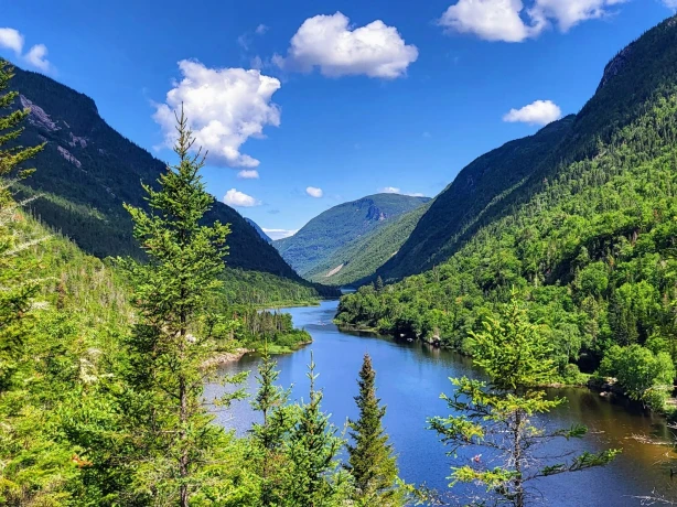 Flusstal in Kanada mit Nadelbäumen im Vordergrund