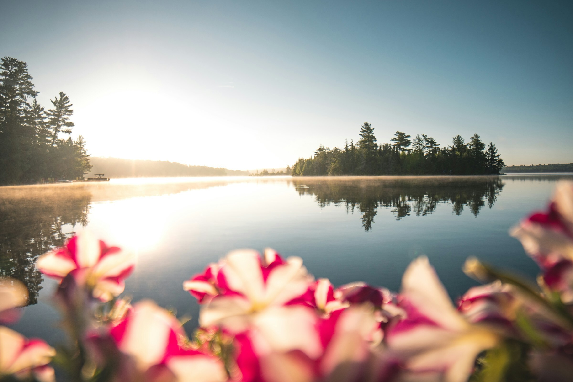 Ost Kanada Ontario Frühling